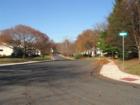 Neighborhood View