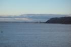 PJ Harbor