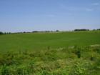 Open fields and wooded acreages are available for your home building sites in the area around the Table Rock Lake vicinity of Southwest Missouri's Ozarks.