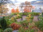 fall colors-downtown Hood River