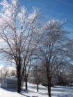 2004 snowstorm on Christmas day