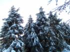 2004 snowstorm on Christmas day
