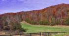 A splash of fall color in Pickens County, Georgia, along Salem Chuch Road, just past the site of well-known and long established Jeep dealership, Jasper Jeep.