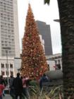 Christmas  San Francisco 2006