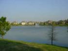 A homeowners back yard view