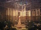 Gaylord Palms Courtyard at night, decorated for Christmas.