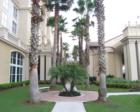 Fabulous landscaping and pavers on walkway to Gaylord Palms Hotel and Resort in Kissimmee.