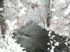 West Branch of the Lackawaxen River as it rolls through Wayne County near Aldenville & Prompton.