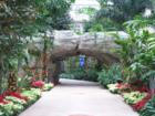 Unique walkover and landscaping