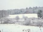 Lovely rural Wayne County farm land, near Waymart PA.
