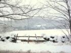 Rural Wayne County PA, near Waymart.