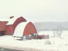 Farm in Waymart PA, rural Wayne County.