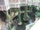 Brook and old Key West style house foundations in Kissimmee