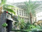 Palm trees, castle in atrium and beautiful courtyard at Gaylord Palms Resort.