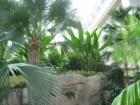Beautiful landscaping!