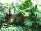 Gorgeous tropical landscaping.