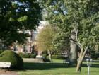 The mall in front of the Needham Town Hall