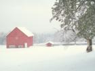 Field and barn/shed in Paupack, PA