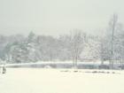 This pond in Paupack looks like a mirror surrounded by snowy fluff!