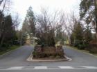 Forest Hills Entrance Paves The Way To Beautiful Luxury Living On Oversized Homesites