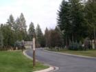 Forest Hills Subdivision Is A Breathtaking Neighborhood Nestled Among Gorgeous Trees And Offering Oversized Homesites.