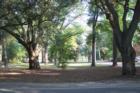 Parkway Between Downtown Streets