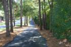 Nature Trail in Woodside Plantation