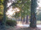 Downtown Golf Course