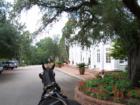 Carriage Ride By The Wilcox Inn