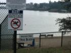 Dirty Water At Bayview Park - Poor Doggies have to just stay on land. 