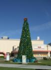 Christmas Tree - Long Beach, CA