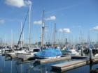 Long Beach Harbor Boats - Long Beach, CA