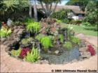 Maalaea Surf, Kihei, Maui Hawaii  <a href="http://www.garybland.com">http://www.garybland.com</a>
      
      <a href=" http://www.realestatemaui.us">Visit my Maui Real Estate weblog.</a>
      