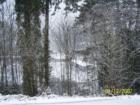 Ar119681883220568_l