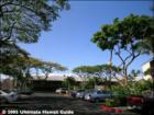 Maui Schooner Resort, Kihei, Maui Hawaii  <a href="http://www.garybland.com">http://www.garybland.com</a>
      
      <a href=" http://www.realestatemaui.us">Visit my Maui Real Estate weblog.</a>
      