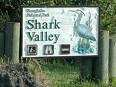 Shark Valley