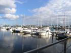 Boats docked at Halifax Harbor Marina