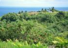 just another ocean view in Haiku Maui