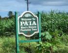 Welcome to Paia sign when entering the town