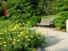 Goodwin Park Bench, Portsmouth NH