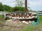 Rye Harbor Entrance