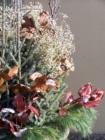 Even in winter you can have a floral arrangement outdoors.