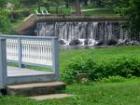 Milford Duck Pond