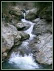 Winter Creek
