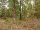 Lot 44 Fish River Estates