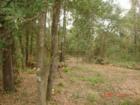 Another view of Lot 44 Fish River Estates