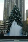 Christmas Tree in Lincoln Center