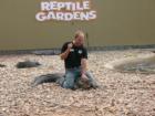 These guys wrestle alligators and crocs.  There are birds, snakes and creepy crawlies of every kind here.  Reptile Gardens is a lot of fun, we go there every year.  