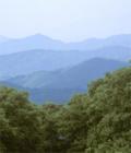 Beautiful Mountain Ranges - View from Burnsville, North Carolina