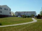 Community open space between TH's clusters